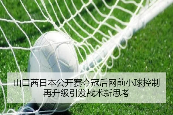 山口茜日本公开赛夺冠后网前小球控制再升级引发战术新思考